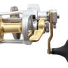 Reels * | Shimano Talica 10 Ii 2-Speed Jigging Reel