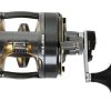 Reels * | Shimano Tyrnos 20 Ii 2 Speed Overhead Reel